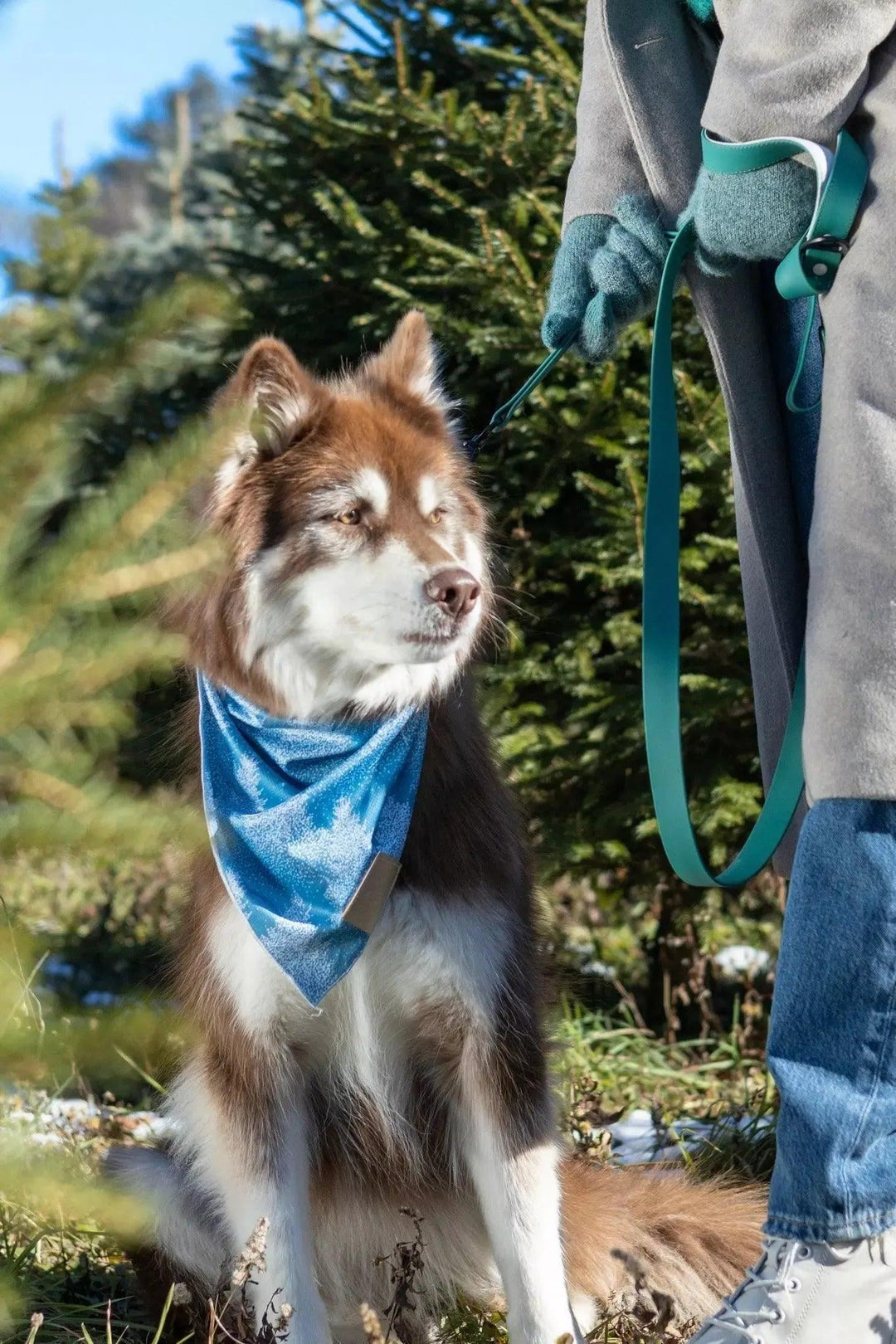 Siberian Spruce Bandana bandana