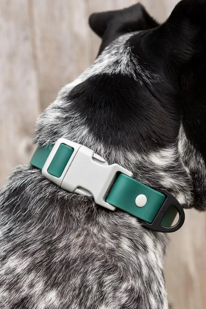 Siberian Spruce Waterproof Dog Collar Collar