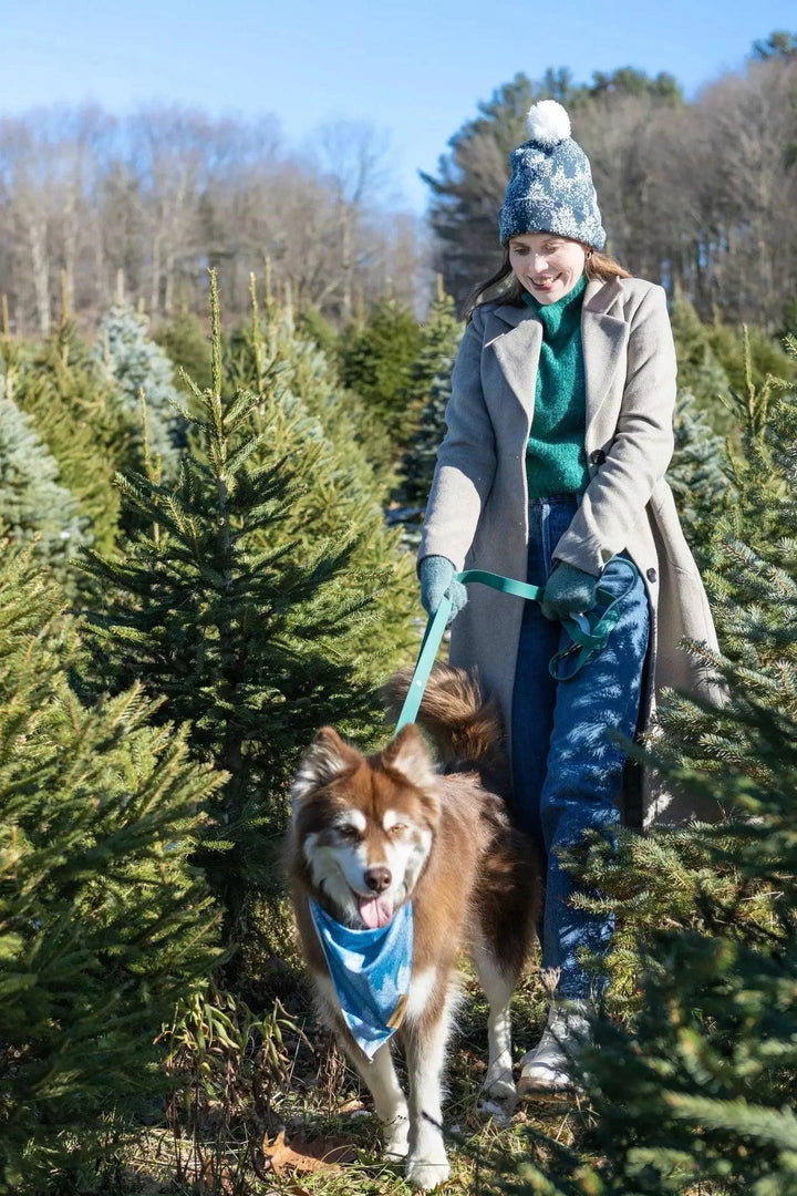 Siberian Spruce Waterproof Leash Leash