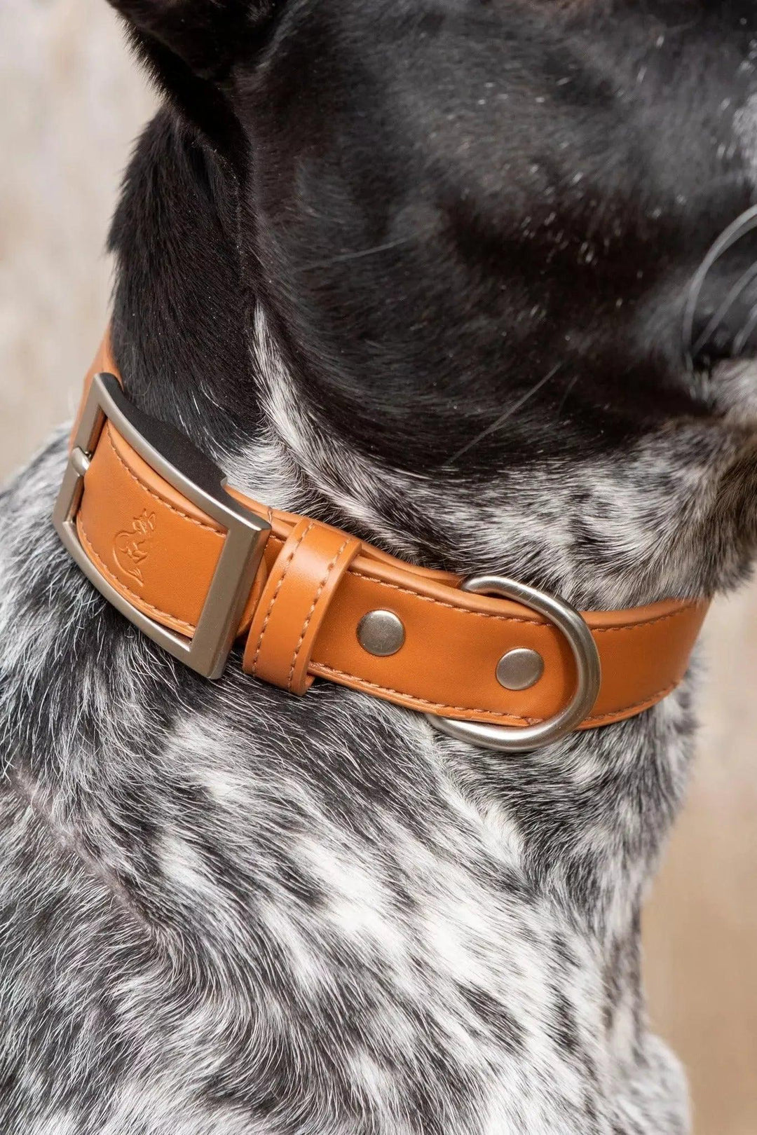 Vegan Leather Collar Reddish Brown Sierra Sunrise Collection