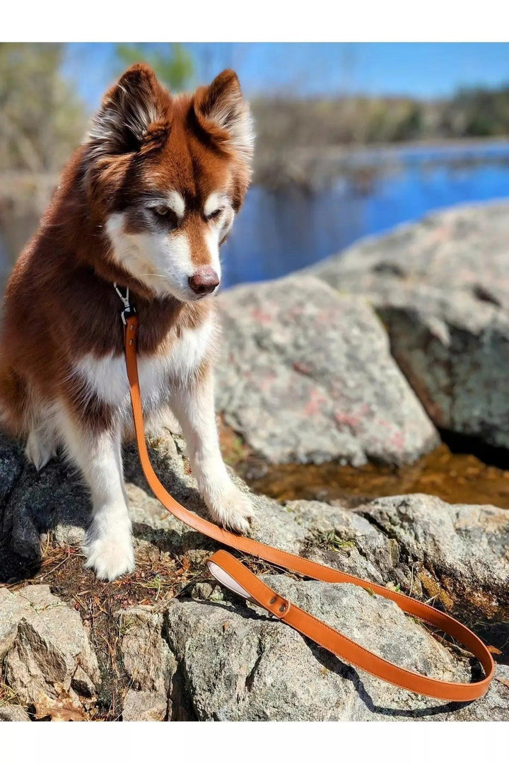 Sierra Sunrise Vegan Leather Leash Leash