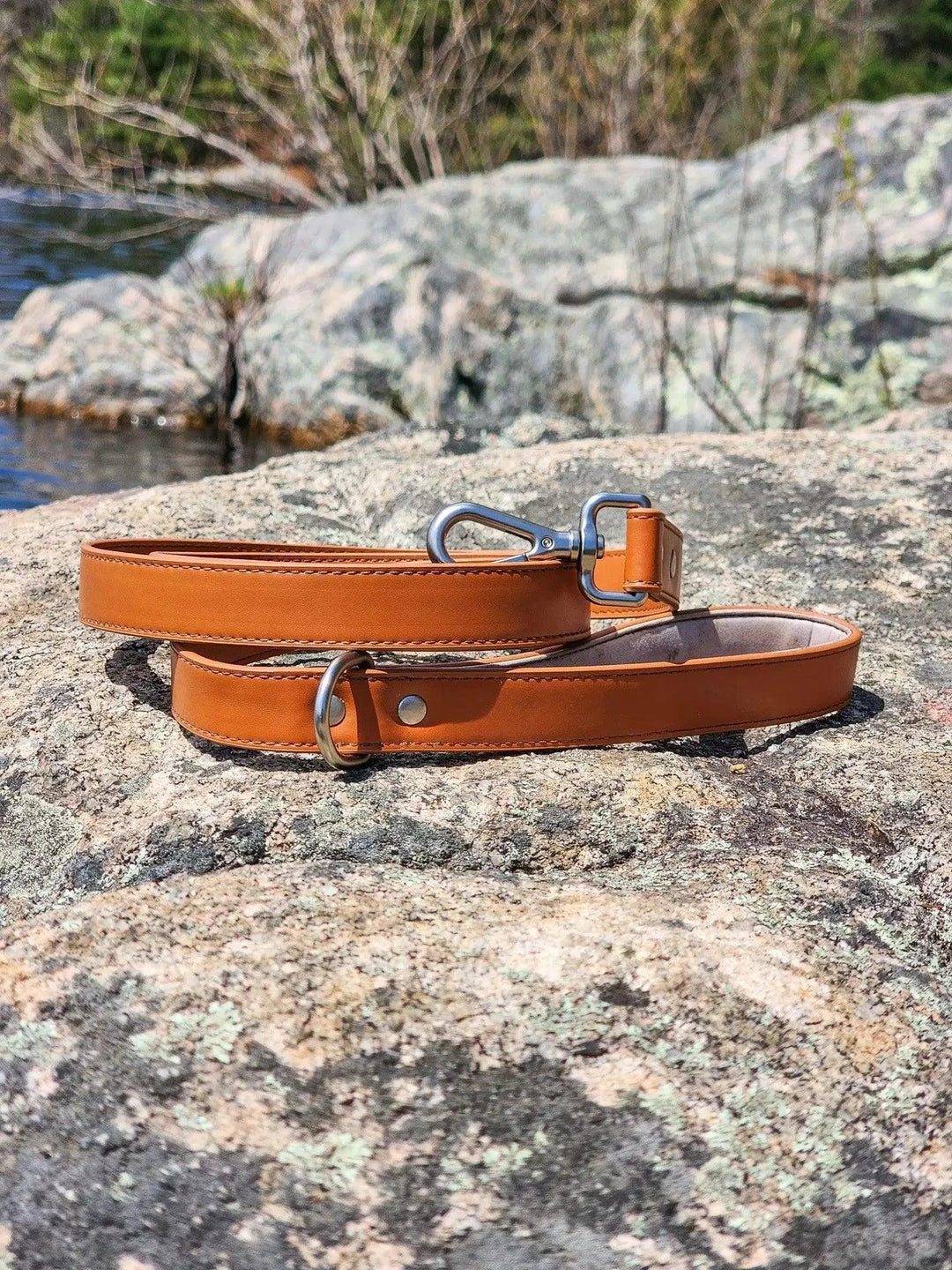 Sierra Sunrise Vegan Leather Leash Leash